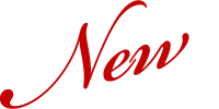 新人